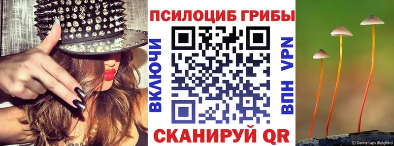 Псилоцибиновые грибы прущие грибы даркнет наркотические препараты Малоархангельск